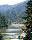Erd�ly, Gyilkos-t�